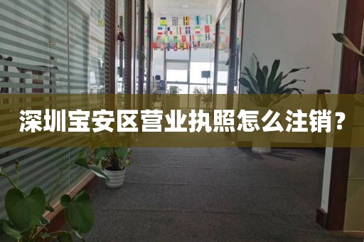 深圳宝安区营业执照怎么注销？