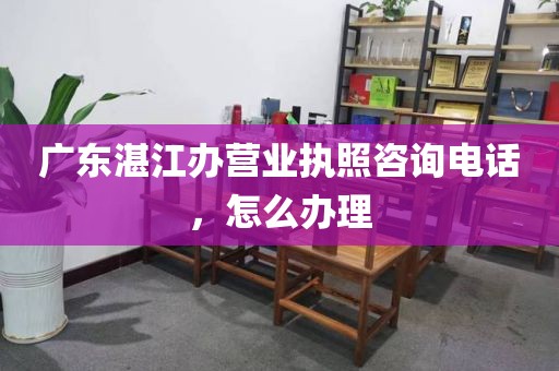 广东湛江办营业执照咨询电话，怎么办理